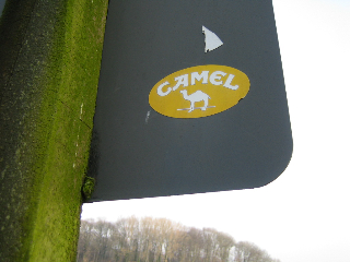 Camel Schild